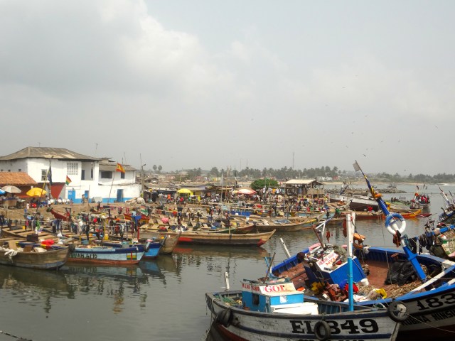 Elmina