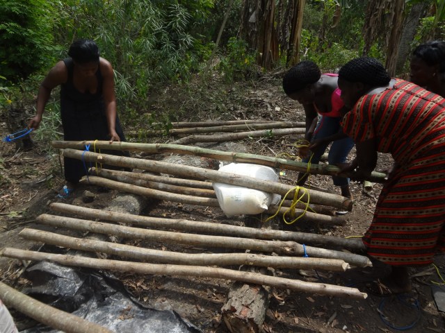 Manually squeezing the moisture out of a bag of cassava