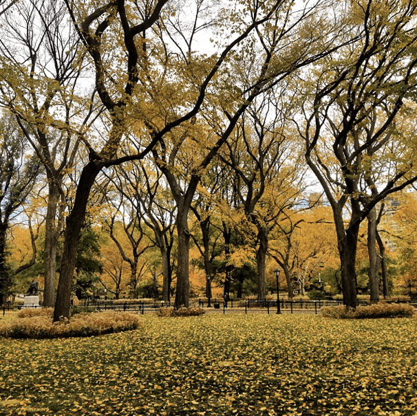 Screen shot 2014-01-25 at 9.34.04 PM